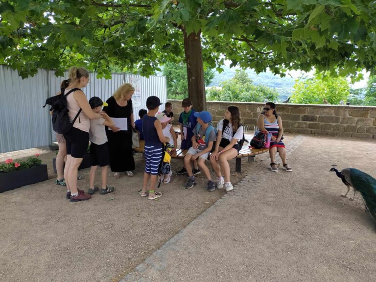 Cesta malého dobrodruha