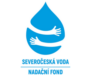 nf_SV_logo_vertical_CMYK